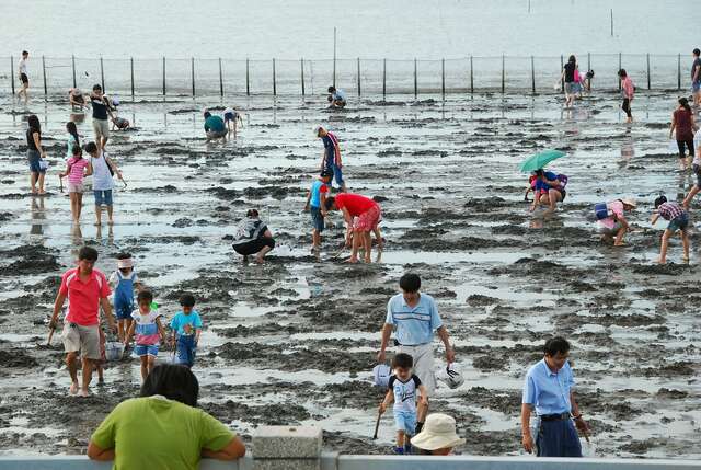 Qigu Lagoon(七股潟湖)