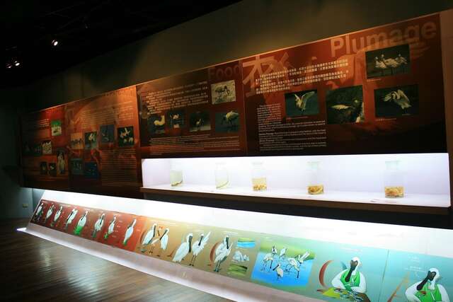 クロツラヘラサギ生態展示館（旧クロツラヘラサギ研究及び保護管理センター）