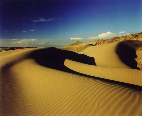 Dintouer Sandbank(頂頭額沙洲)