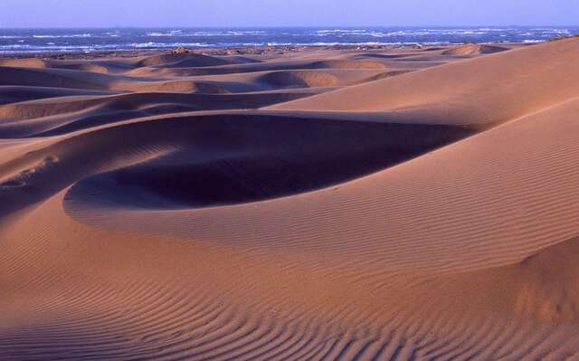 Dintouer Sandbank(頂頭額沙洲)