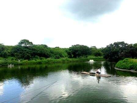 Tainan Duck Leisure Farm(台南鴨莊休閒農場)