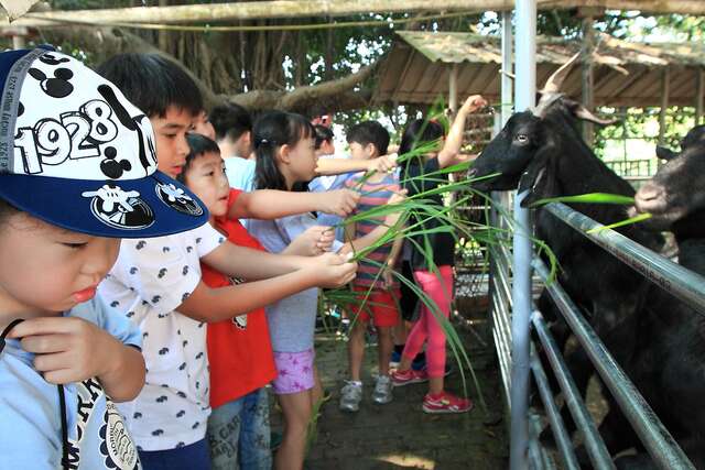 Tainan Duck Leisure Farm(台南鴨莊休閒農場)