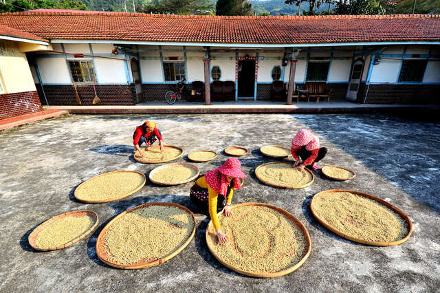 둥산 175 커피대로(東山175咖啡大道)