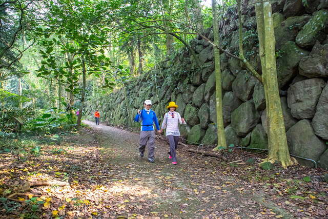 步道沿路平缓，沿途可见低海拔阔叶林，林相生态丰富