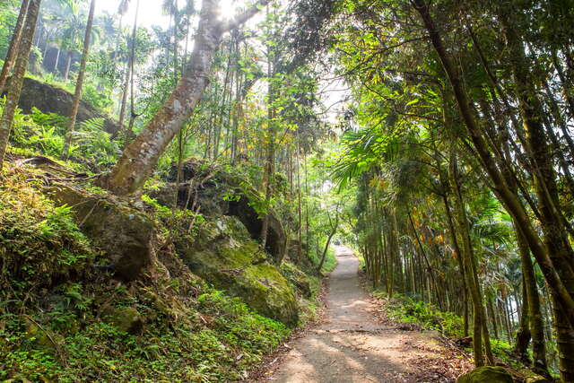 沿途有不少石子路與陡坡，是登大山前訓練體能的絕佳場地