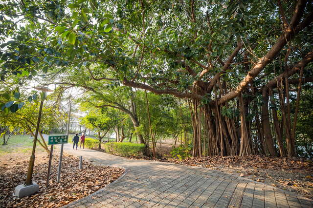 在公園內廣植樹林增添綠意