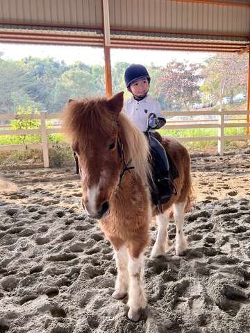 小朋友骑马体验