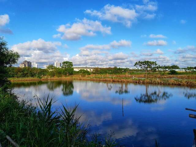 來趣漁光島生活集錦3