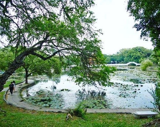 臺南公園於日治時期的大正六年(1917年)開園，為臺南市最古老、最大的公園，占地4萬餘坪，今年是臺南公園慶祝一百週年的一年，歡迎大...