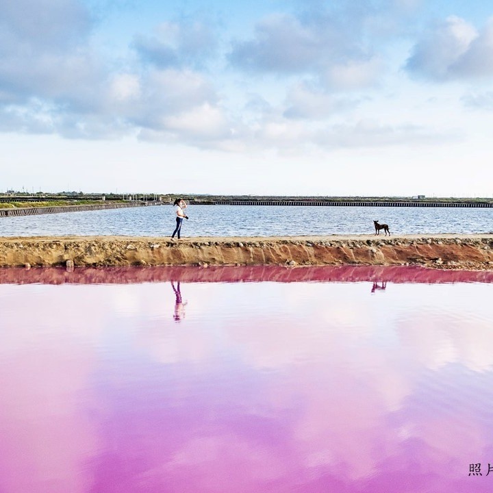 【自然のパレット～台南七股夕方の養魚池～】台南旅行はサプライズでいっぱいです。七股の夕べの養魚池はピンク系の色に染めてとても綺麗で...