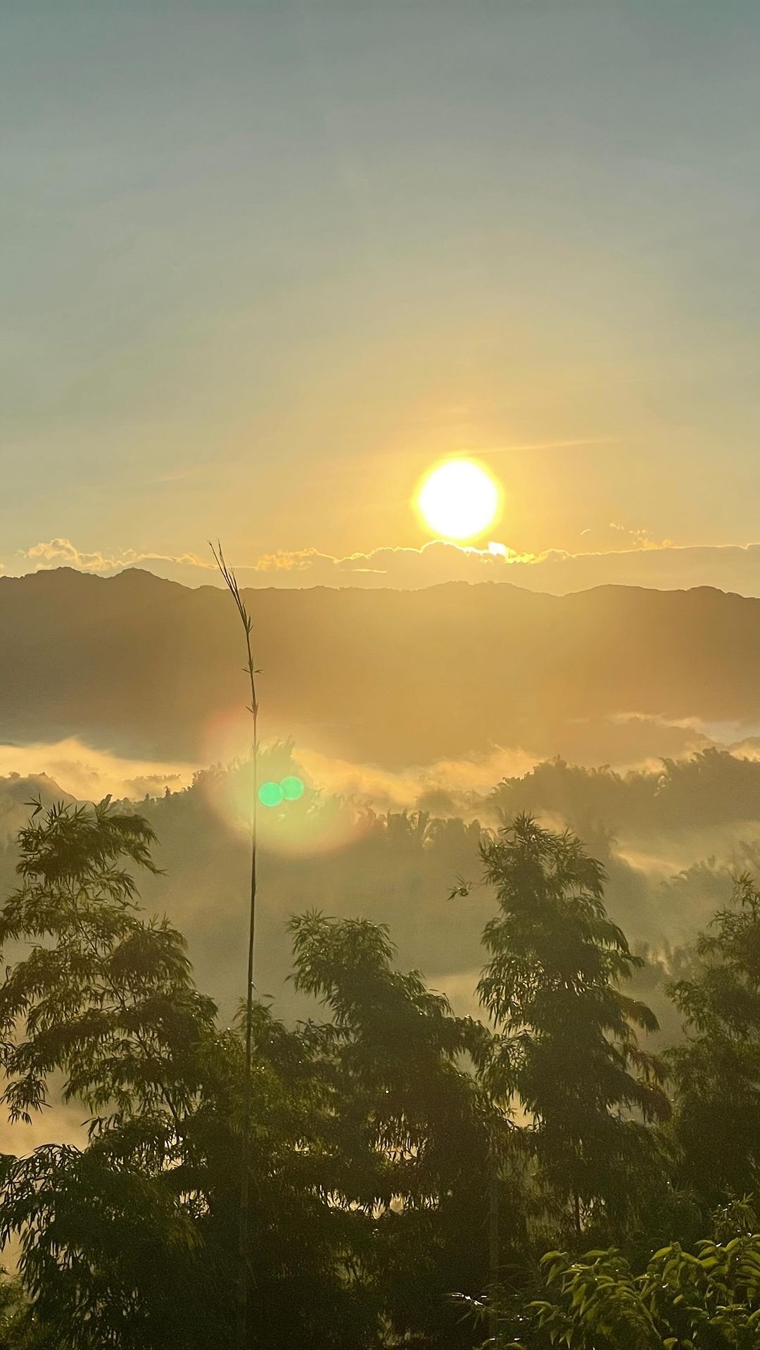 今天台南左鎮二寮的日出實在是太美了因為前天晚上有下雨所以今天早上很幸運地除了耀眼的日出之外還有美麗的雲海果然全台最低海拔就可以一次...