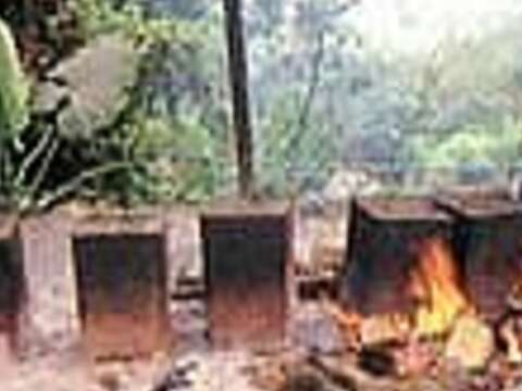 草山月世界308高地休閒農場桶仔雞