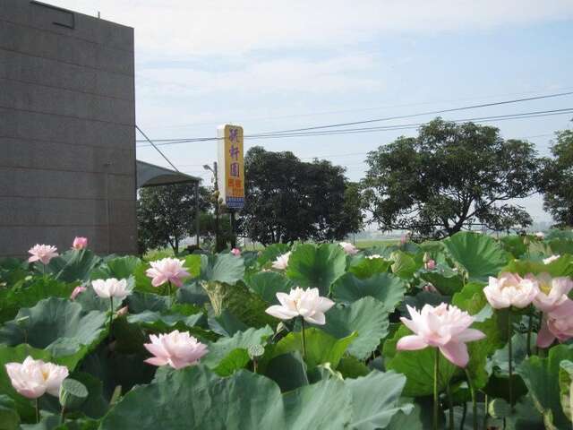 照片-毓轩园民宿