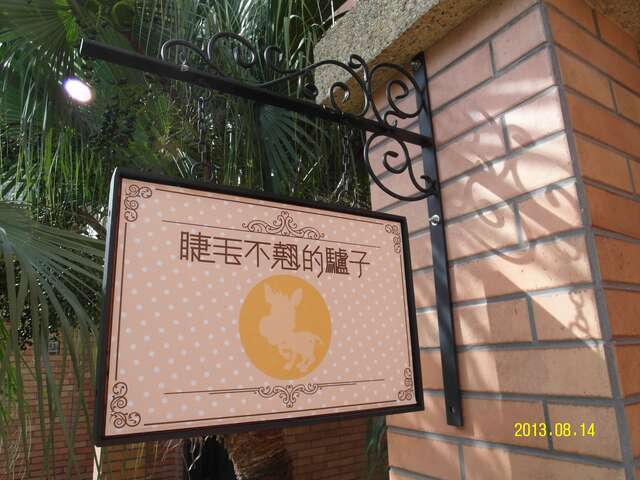 睫毛不翘的驴子