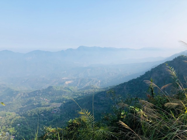 梅嶺山景｜山慢慢青年旅宿