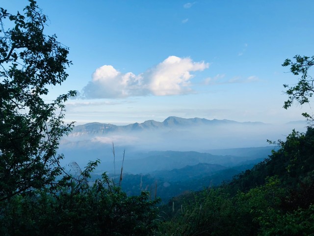 梅岭山景｜山慢慢青年旅宿