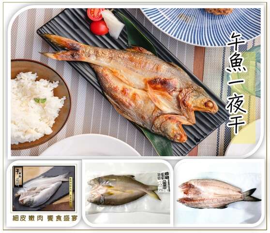 魚魚共好