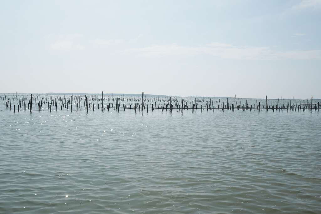 七股潟湖