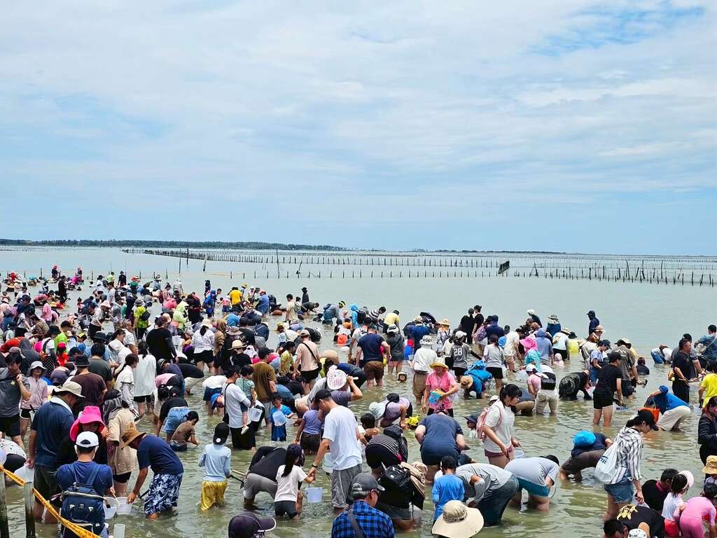 暑假限定！2026臺南七股海鮮節7月11日開跑 挖文蛤體驗、揪團遊七GO 7月4日上午9點開放網路報名