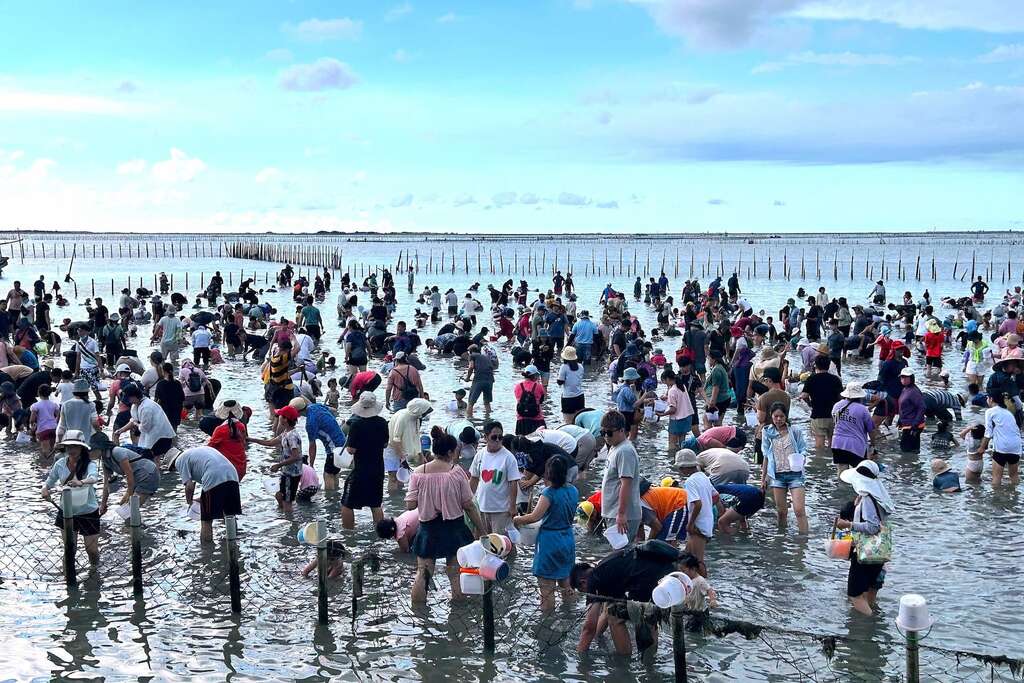 防範巴威颱風來襲 七股海鮮節《觀光赤嘴園挖文蛤體驗》 首週活動預防性順延至8月8至9日辦理