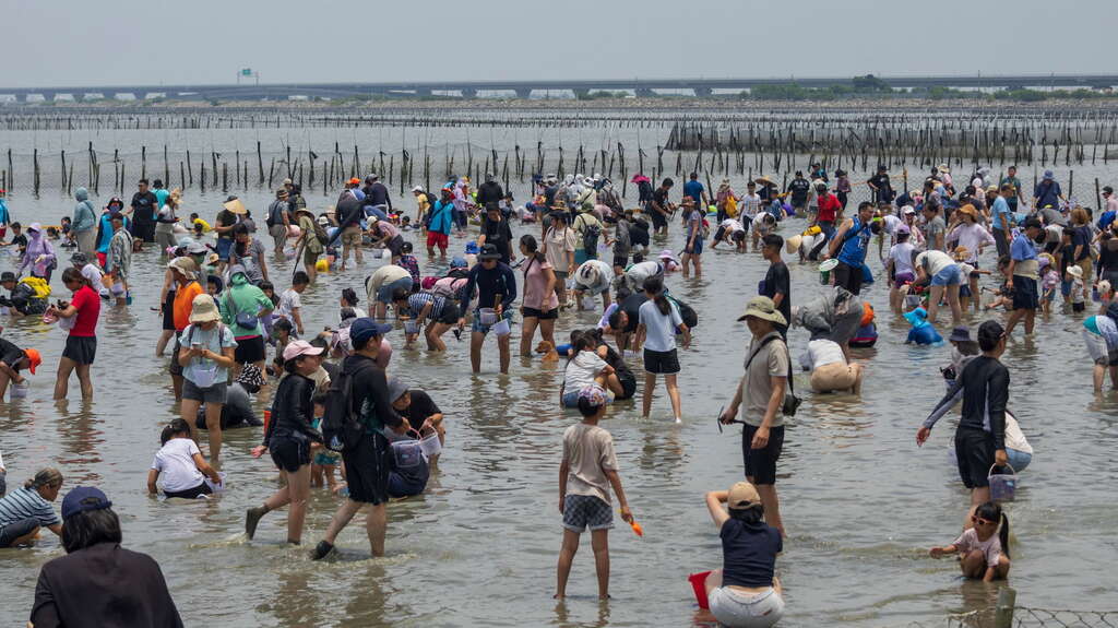 夏天就是要衝七股 下水挖文蛤最消暑！ 「2026臺南七股海鮮節」熱鬧開幕 二千人齊聚六孔碼頭同歡