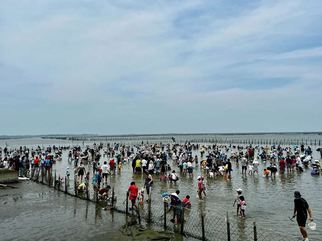 夏天就是要衝七股 下水挖文蛤最消暑！ 「2026臺南七股海鮮節」熱鬧開幕 二千人齊聚六孔碼頭同歡