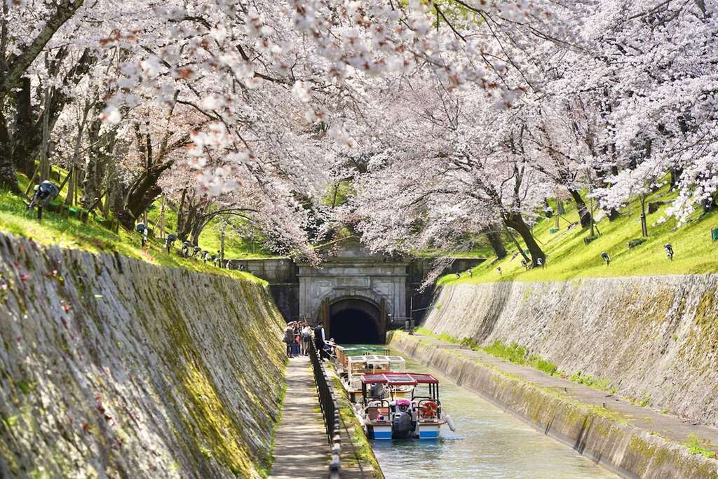 臺南運河百年牽起琵琶湖疏水　臺南、京都兩市簽署備忘錄深化交流