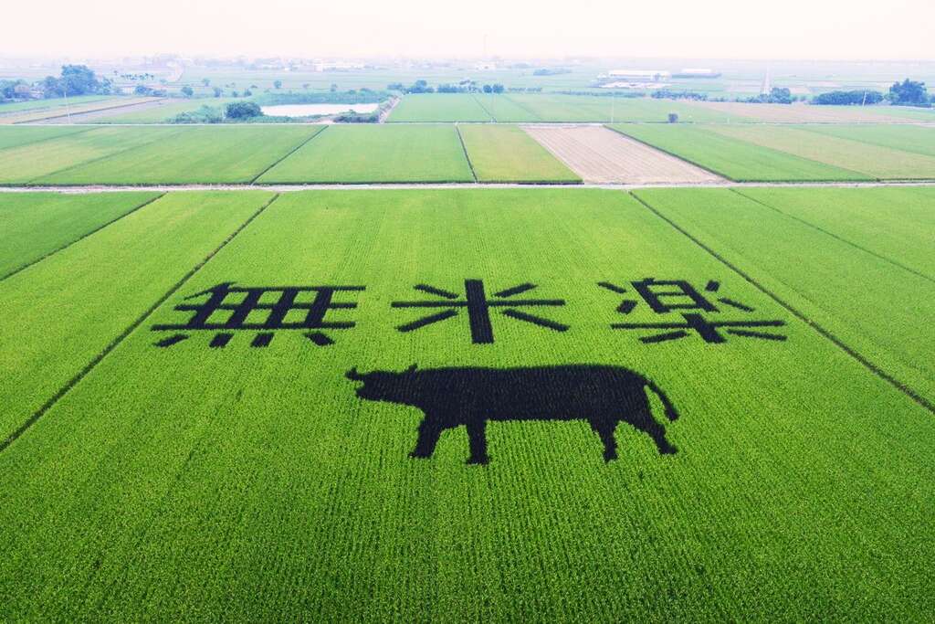 後壁無米樂社區 無米里社區由菁寮里 墨林里 後廍里所組成 台南旅遊網