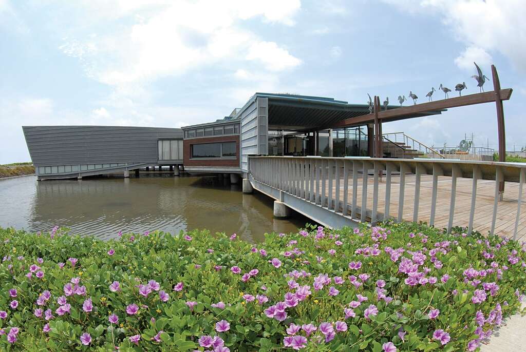 黑面琵鷺生態展示館 原黑面琵鷺研究及保育管理中心 台南旅遊網
