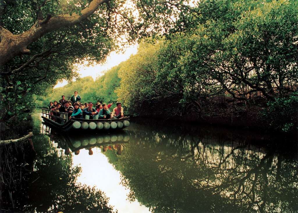 Sicao Mangrove Protection Area 四草紅樹林保護區 Tainan Travel