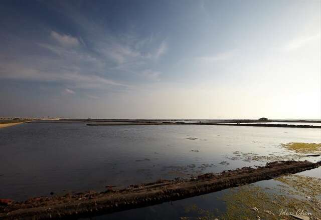 七股鹽田濕地