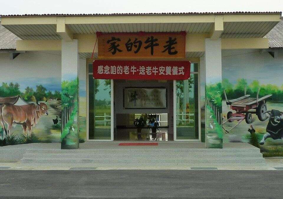 Old Buffalo Home 老牛的家 Tainan Travel