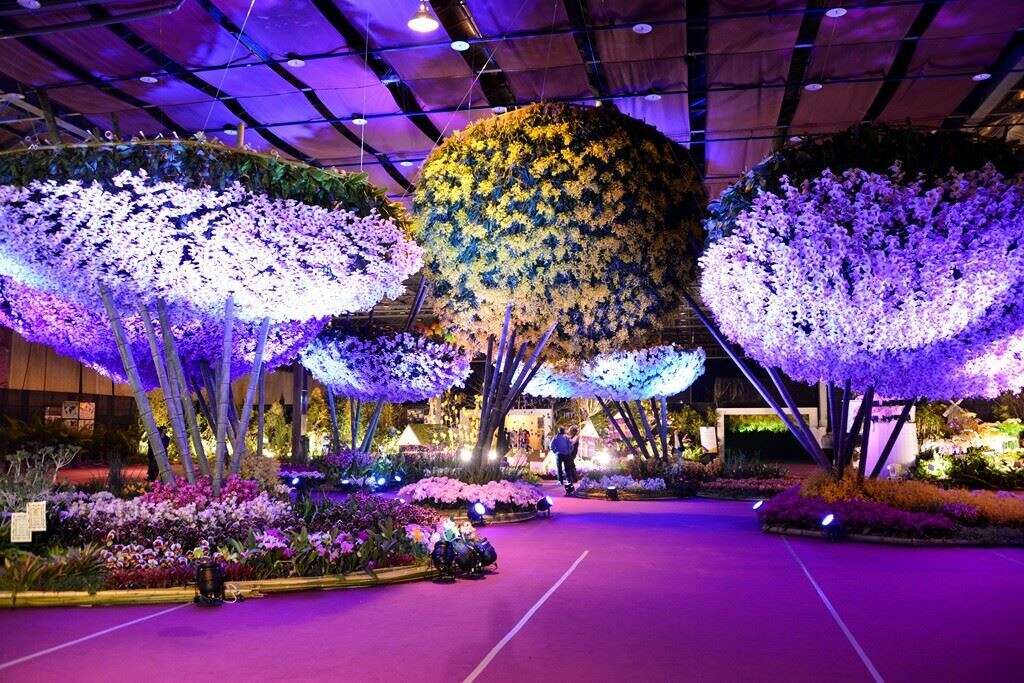 Taiwan International Orchid Show Tainan Travel