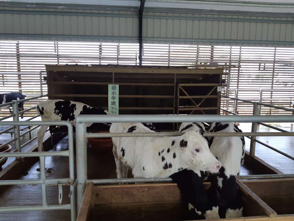 乳牛的家 台南旅遊網