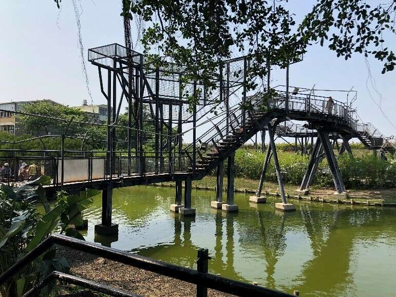 The observation platform behind the back door of the Anping Tree House