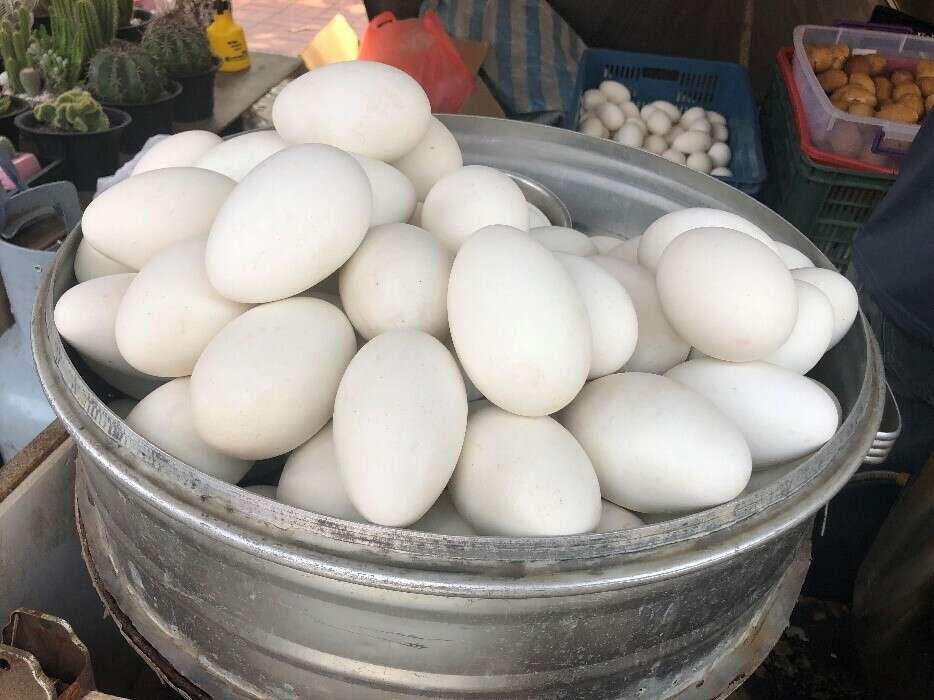 蒸しアヒル卵