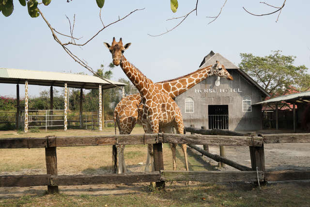 Wanpi World Safari Zoo