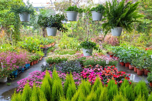 歸仁七甲花卉區