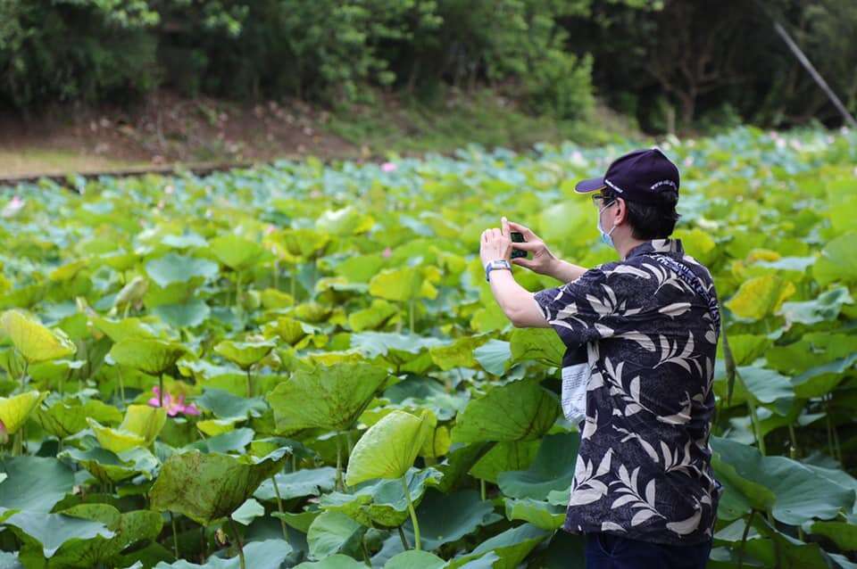 虱目魚古巴領襯衫
