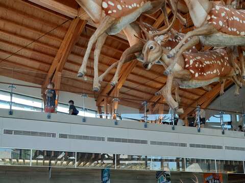  "中秋祭りの3日目-ZuozhenFossil ParkMuseumは毎日人でいっぱいです"