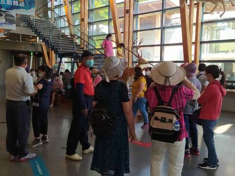 "国庆连假首日-左镇化石园区涌现人潮"