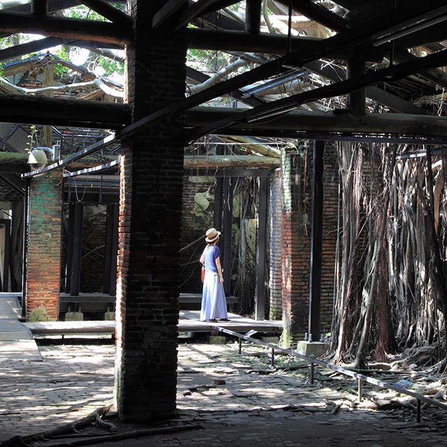 安平樹屋 台南旅行サイト