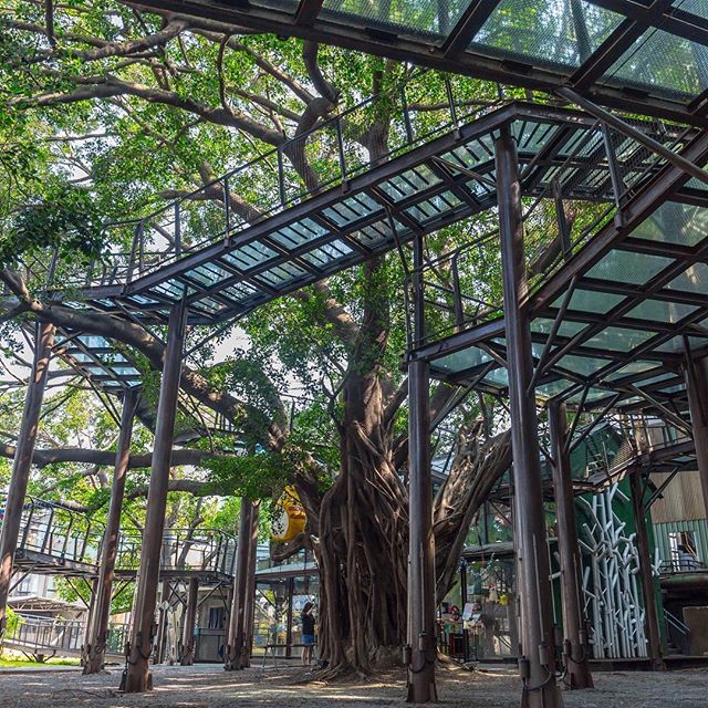 十鼓仁糖文創園區 台南旅遊網