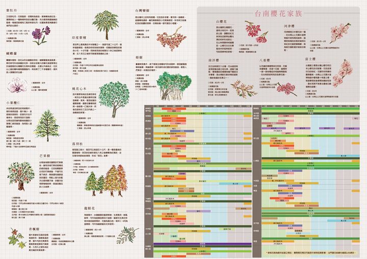 南國花都體驗花都台南的萬種風情 台南旅遊網